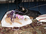 Solomon And Azrael 01